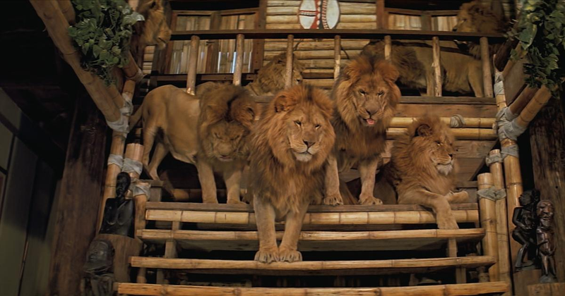 Illustration for article titled Cómo se rodó Roar, la película más peligrosa de la historia que estuvo a punto de acabar con la vida de todo el reparto